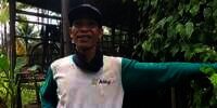 Dulu TKI di Malaysia, Kini Sukses Jadi Juragan Sawit dengan Lahan Berhektare-hektare