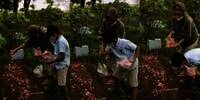 Tingkah Anak di Makam Ibunda Bikin Perasaan Warganet Campur Aduk