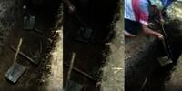 Viral Usai Gali Kuburan, Ada Ular Jatuh dalam Liang Lahat