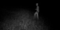 Pemburu Berhasil Rekam Sosok Alien Berkepala Bulat di Tempat Diduga Pendaratan UFO