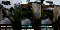 Pesta Pernikahan Bubar Diterpa Hujan dan Angin Kencang, Salfok Sama Bapak Lari Sambil Bawa Piring