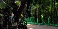 Lagi Mau Ibadah di Gua Maria Padang Bulan, Gadis Ini Lihat Penjaganya Sedang Sholat Zuhur