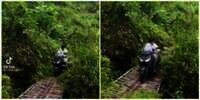 Nekat Nyeberang Jembatan Reyot Pakai Motor Gede, Endingnya Bikin Syok