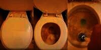Wanita Ini Tidak Bersihkan Toilet Duduk di Rumahnya Selama Satu Bulan, Auto Mual dan Muntah Saat Buka Penutupnya