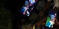Fakta-fakta Penyelamatan Buaya dari Kalung Ban di Sungai Palu, Dipancing Ayam