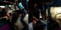 Sapi Nggak Ada Akhlak, Cuma Dielus Dikit Sama Biduan Cantik, Malah Mau Ikut Joget di Atas Panggung