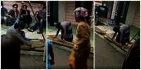 Aksi Emak-Emak Pasang Palang Kayu di Teras Biar Tamu Hajatan Tetangga Tak Duduk Picu Polemik