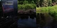 Seram! Detik-detik Petani Diserang Buaya di Kalimantan Utara, Sempat Teriak 'Uy' Sebelum Diseret Ke Kedalaman Sungai