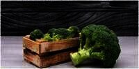 8 Manfaat Sayur Brokoli, Makanan Sehat yang Ampuh Mengatasi dan Mencegah Berbagai Penyakit