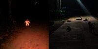 10 Momen Ngagetin di Tengah Jalan, Bikin Pengen Putar Balik!