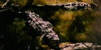 Seram tapi Ajaib! Cari Cacing buat Umpan di Kolam Pembuangan, Nelayan Diserang Tiga Buaya Lapar Sekaligus Bisa Selamat