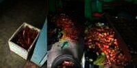 Viral! Ditinggal Kabur Penghuni, Kamar Kos di Samarinda Dipenuhi Botol Bekas Berisi Air Kencing