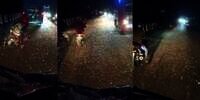 Dikira Hujan Deras, Jutaan Serangga Muncul di Jalan Raya Bikin Pengendara Kelabakan, Netizen: Kebayang Zaman Firaun