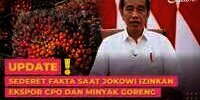 Sederet Fakta Saat Jokowi Izinkan Ekspor CPO dan Minyak Goreng