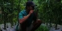 Viral Wisata Kebun Cabai Rp5 Ribu Makan Sepuasnya, Warganet: Langsung Mules