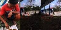 Piknik Aestetik Pinggir Waduk Auto Gagal! Istri Ngacir Lihat Ular Gede Kejar Tikus