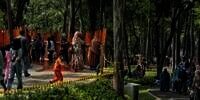 Selain Ditutup Sementara, Pengunjung Kawasan Tebet Eco Park Bakal Dibatasi