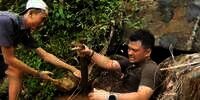 Panji Petualang Sampai Gak Kuat Tangkap King Kobra &lsquo;Monster&rsquo;, Garaga Gak Ada Apa-apanya!