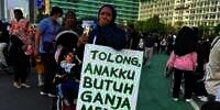 Viral Ibu Butuh Ganja Medis untuk Anaknya, DPR Kaji Legalisasi Medis