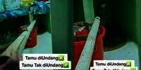 Bikin Merinding, Ular King Kobra Ngumpet di Dapur Rumah Warga