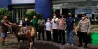 Sambut Idul Adha 1443 H, SCTV dan Indosiar Serahkan 65 Ekor Hewan Kurban