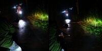 Bikin Bergidik! Pesepeda Motor Lindas Ular Besar karena Hiraukan Peringatan