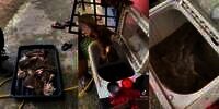 Viral Cara Bersihkan Jeroan Sapi Kurban Pakai Mesin Cuci, 30 Menit Langsung Bersih!