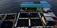 Potret Rumah Makan Apung di Tengah Laut, Konsepnya Unik Banget!