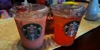 Pink Drink Strabucks Akhirnya Hadir di Indonesia!