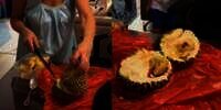 Belah Durian Langsung Syok Setelah Terbuka, Ada Bonus Tak Terduga yang Bikin Mual dan Muntah di Dalamnya