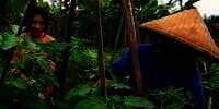Potret Ismi, Gadis Desa yang Punya Kecantikan Alami, Tempat Tinggalnya Curi Perhatian!