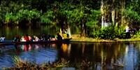 Keren! Pulau di Kalimantan Barat Bergerak Ikuti Arus Air