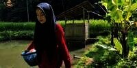 Viral! Gadis Desa Cantik Jadi Petani Jamur Tiram di Kampung Terpencil, Netizen: Bidadari Kesasar!