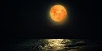 Super Moon Terakhir Tahun 2022 Terjadi di Bulan Ini, Catat Tanggalnya
