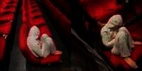 Bikin Geger Bioskop Saat Nonton Film 'Pengabdi Setan 2', Semua Sudah Pulang Wanita Cantik Ini Tetap Meringkuk, Saat Dibangunkan Ternyata...