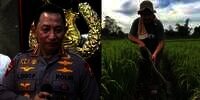 Potret Perbandingan Rumah 4 Mantan Kepala Bareskrim Polri, Ada yang Jadi Petani di Sawah