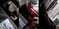 Asyik Sortir Paket, Kurir Kaget Campur Geram Temukan Biawak Hidup: 'Pakai COD Lagi'