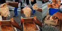 Aksi Penjual Es Krim Layani Pembeli Bikin Syok, Netizen: 4 Sehat 5 Sekarat