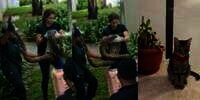 Ditunggu hingga Malam Belum Pulang, Tak Tahunya Kucing Kesayangan Sudah Jadi Mangsa Ular Piton Raksasa