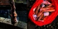Penghobi Ikan Nangis Kejer Lihat Koleksi Koi Rp213 Juta di Kolam Ludes dalam Semalam Disikat Berang-berang