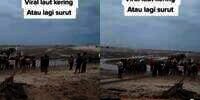 Viral Video Air Laut Pantai Sampur Bangka Mendadak Surut Mirip Tanda Tsunami, Ini Penjelasan BMKG