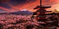 Pilihan Wisata dan Kuliner Halal di Kawasan Gunung Fuji dan Hakone