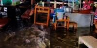 Restoran Ini Beri Sensasi Makan di Tengah Banjir, Bisa Sekalian Kasih Makan Ikan