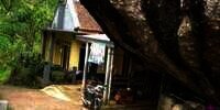 Potret Rumah Viral di Cianjur, Dibangun Mepet dengan Batu Raksasa yang Berdiri Kokoh Meski Ada Gempa!