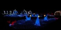Libur Akhir Tahun di Osaka, Jangan Lupa Nikmati 'Festival of the Lights'