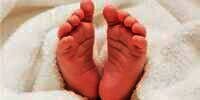Bayi Cantik Ini Jadi Manusia ke-8 Miliar di Bumi
