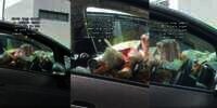 Viral Video Penampakan 'Mobil Sampah', Mulai Dashboard hingga Jok Belakang Penuh Rongsokan, Netizen: Tong Sampah Berjalan