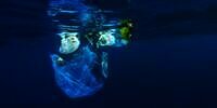 Kelola Sampah Laut Bali untuk Mewujudkan Pariwisata Berkelanjutan
