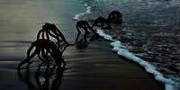 Viral! Foto 'Alien' Mirip di Film War of the World Muncul dari Dalam Laut Pantai Afrika Selatan, Memicu Kepanikan Warga