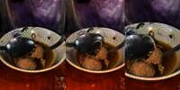 Enak-enak Makan Bakso, Temukan Benda Panjang Mencuat dari Dalamnya Mirip Ekor, Netizen: Buntut Tikus?